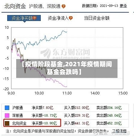【疫情阶段基金,2021年疫情期间基金会跌吗】-第2张图片