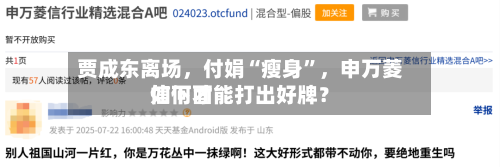 贾成东离场，付娟“瘦身”	，申万菱信下面如何才能打出好牌？-第2张图片