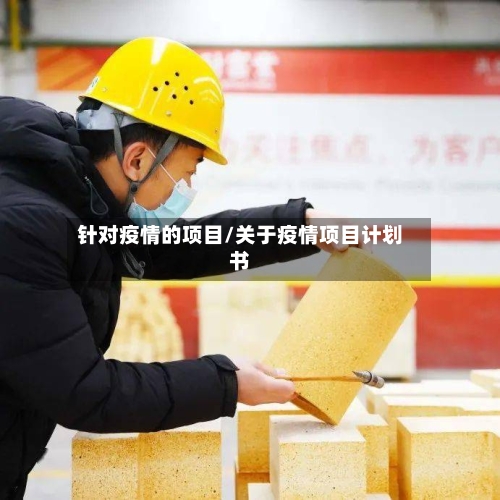 针对疫情的项目/关于疫情项目计划书-第2张图片