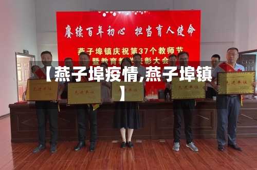 【燕子埠疫情,燕子埠镇】