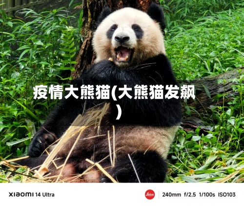 疫情大熊猫(大熊猫发飙)-第3张图片