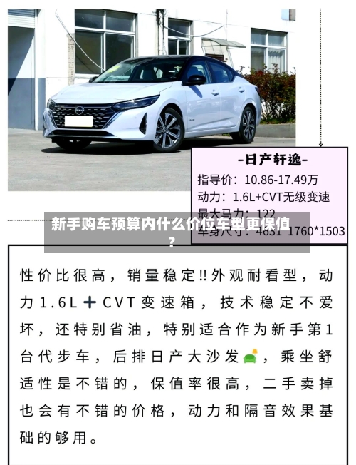 新手购车预算内什么价位车型更保值？-第2张图片