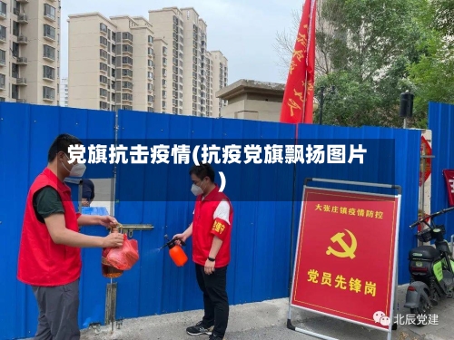 党旗抗击疫情(抗疫党旗飘扬图片)-第2张图片