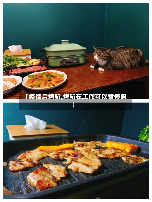 【疫情后烤箱,烤箱在工作可以暂停吗】-第2张图片