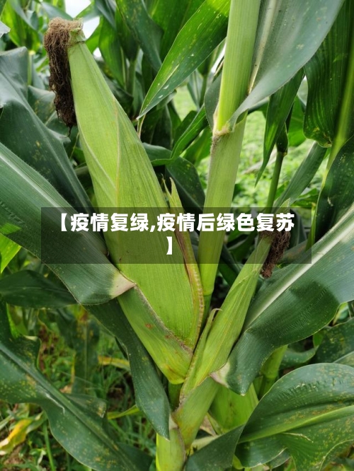【疫情复绿,疫情后绿色复苏】