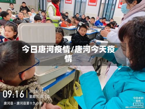 今日唐河疫情/唐河今天疫情-第3张图片