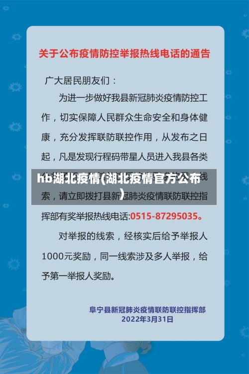 hb湖北疫情(湖北疫情官方公布)-第2张图片