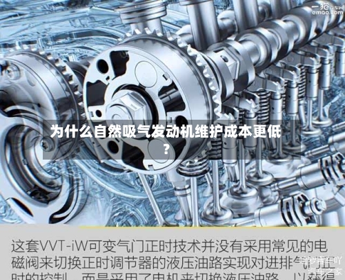 为什么自然吸气发动机维护成本更低？