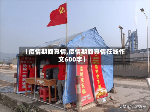 【疫情期间真情,疫情期间真情在线作文600字】-第3张图片
