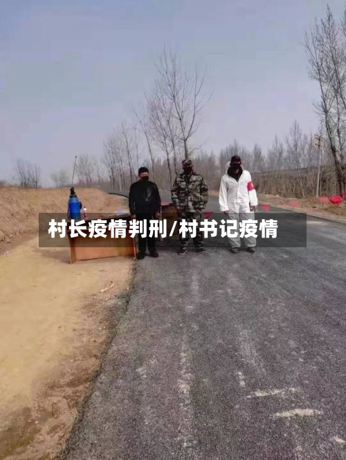村长疫情判刑/村书记疫情