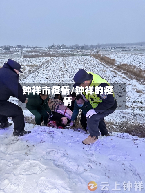 钟祥市疫情/钟祥的疫情