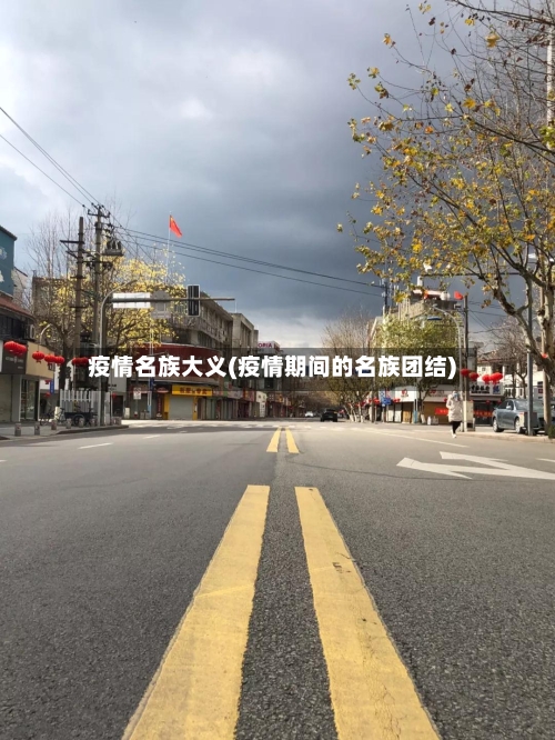 疫情名族大义(疫情期间的名族团结)-第3张图片