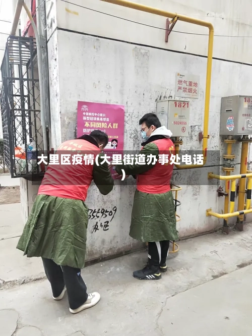 大里区疫情(大里街道办事处电话)-第2张图片