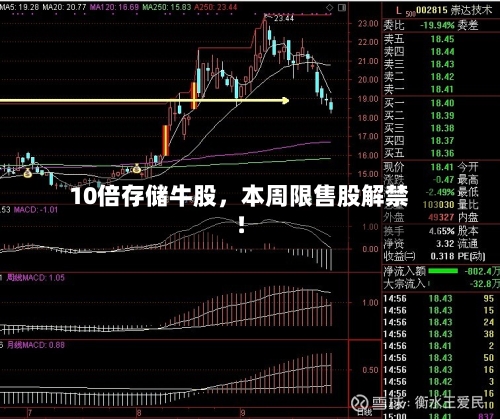10倍存储牛股，本周限售股解禁！-第2张图片