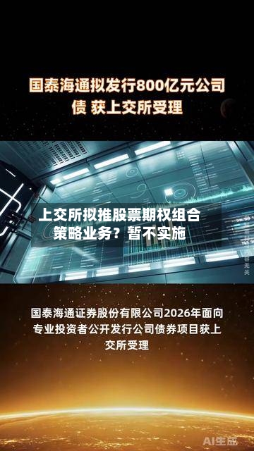 上交所拟推股票期权组合策略业务？暂不实施-第1张图片