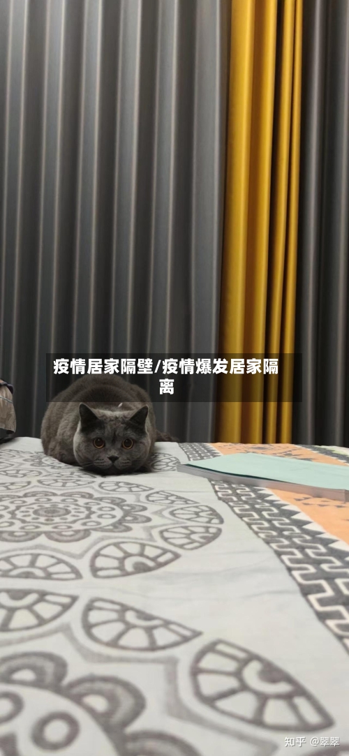 疫情居家隔壁/疫情爆发居家隔离-第3张图片