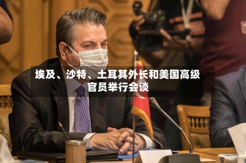 埃及	、沙特、土耳其外长和美国高级官员举行会谈-第2张图片