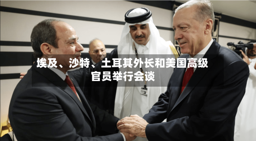 埃及	、沙特、土耳其外长和美国高级官员举行会谈-第1张图片