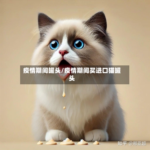 疫情期间罐头/疫情期间买进口猫罐头