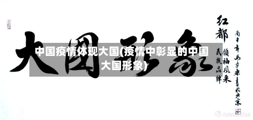 中国疫情体现大国(疫情中彰显的中国大国形象)-第3张图片