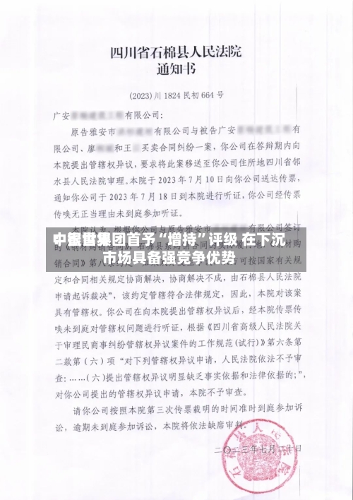 中银世界：蜜雪集团首予“增持”评级 在下沉市场具备强竞争优势-第1张图片