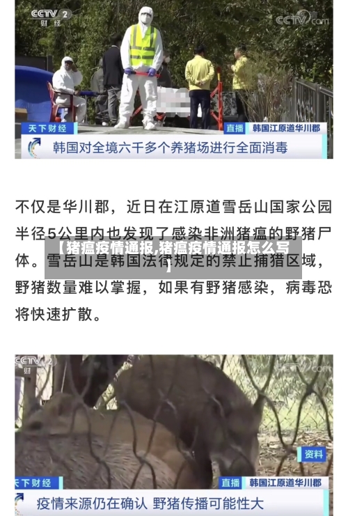 【猪瘟疫情通报,猪瘟疫情通报怎么写】-第3张图片