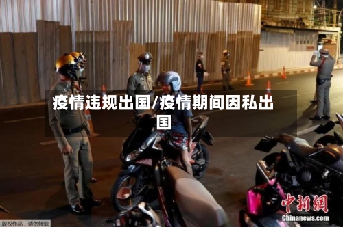 疫情违规出国/疫情期间因私出国