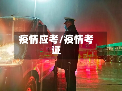 疫情应考/疫情考证-第2张图片
