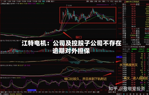 江特电机:公司及控股子公司不存在逾期对外担保-第2张图片