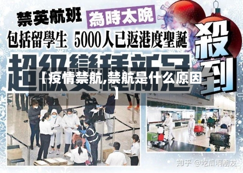 【疫情禁航,禁航是什么原因】-第3张图片