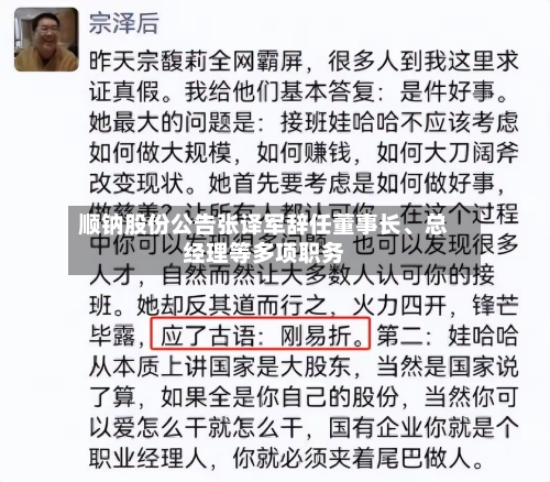 顺钠股份公告张译军辞任董事长、总经理等多项职务-第1张图片