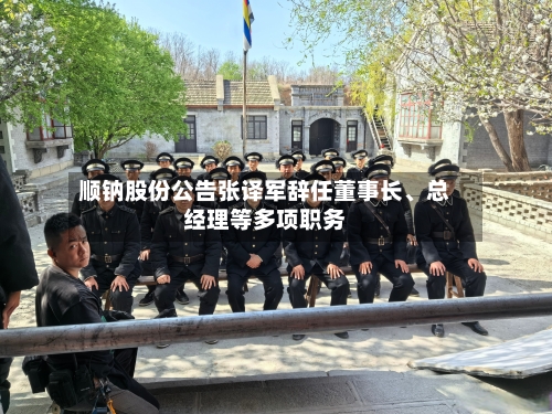 顺钠股份公告张译军辞任董事长、总经理等多项职务-第3张图片
