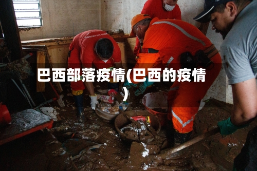 巴西部落疫情(巴西的疫情)