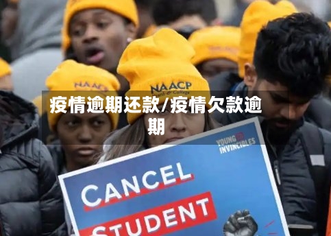 疫情逾期还款/疫情欠款逾期