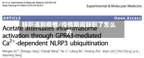 辞职遇到疫情/疫情期间辞职了怎么办-第2张图片