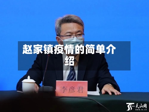 赵家镇疫情的简单介绍