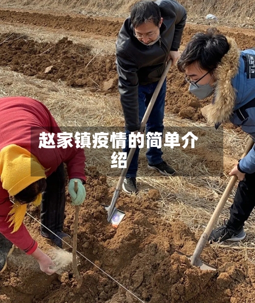 赵家镇疫情的简单介绍-第2张图片