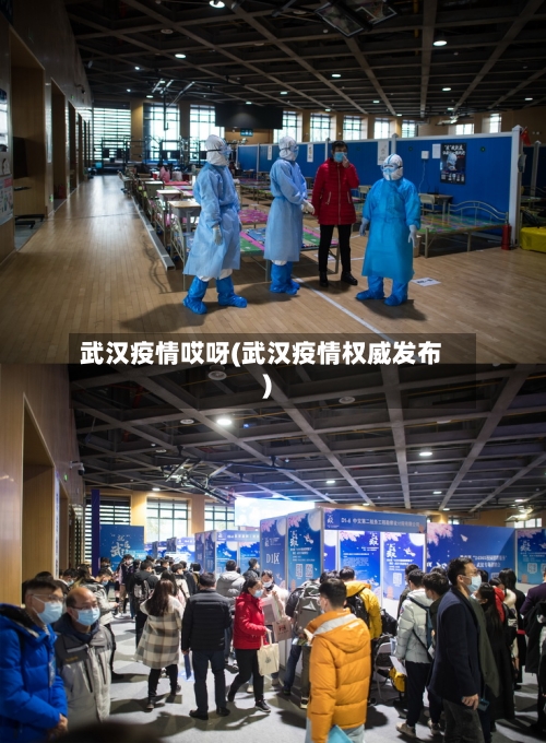 武汉疫情哎呀(武汉疫情权威发布)-第3张图片
