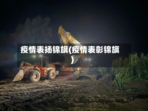 疫情表扬锦旗(疫情表彰锦旗)-第3张图片