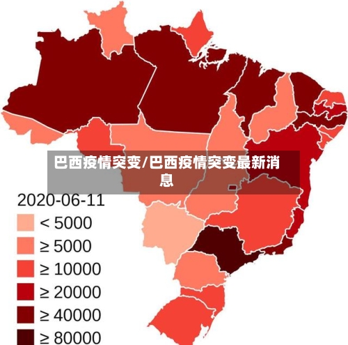 巴西疫情突变/巴西疫情突变最新消息-第2张图片