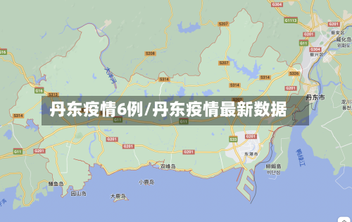 丹东疫情6例/丹东疫情最新数据-第2张图片
