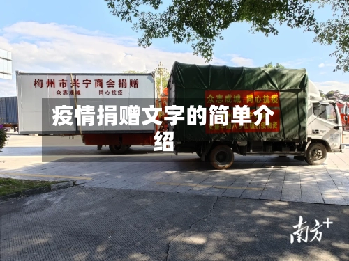 疫情捐赠文字的简单介绍-第2张图片