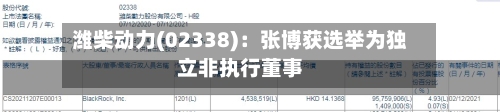 潍柴动力(02338)：张博获选举为独立非执行董事