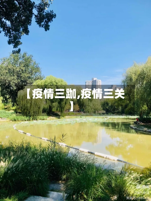 【疫情三跏,疫情三关】-第2张图片