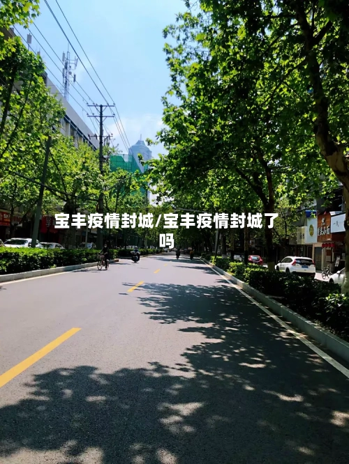 宝丰疫情封城/宝丰疫情封城了吗