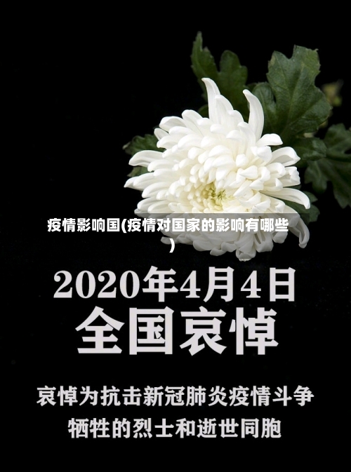 疫情影响国(疫情对国家的影响有哪些)