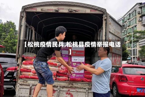 【松桃疫情民兵,松桃县疫情举报电话】-第2张图片