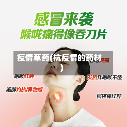 疫情草药(抗疫情的药材)