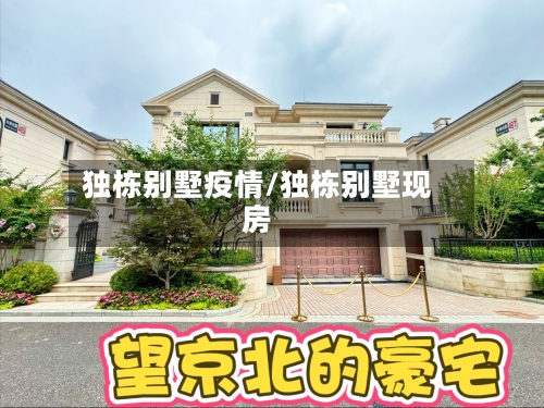 独栋别墅疫情/独栋别墅现房-第2张图片