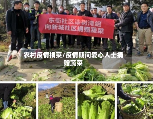 农村疫情捐菜/疫情期间爱心人士捐赠蔬菜-第2张图片
